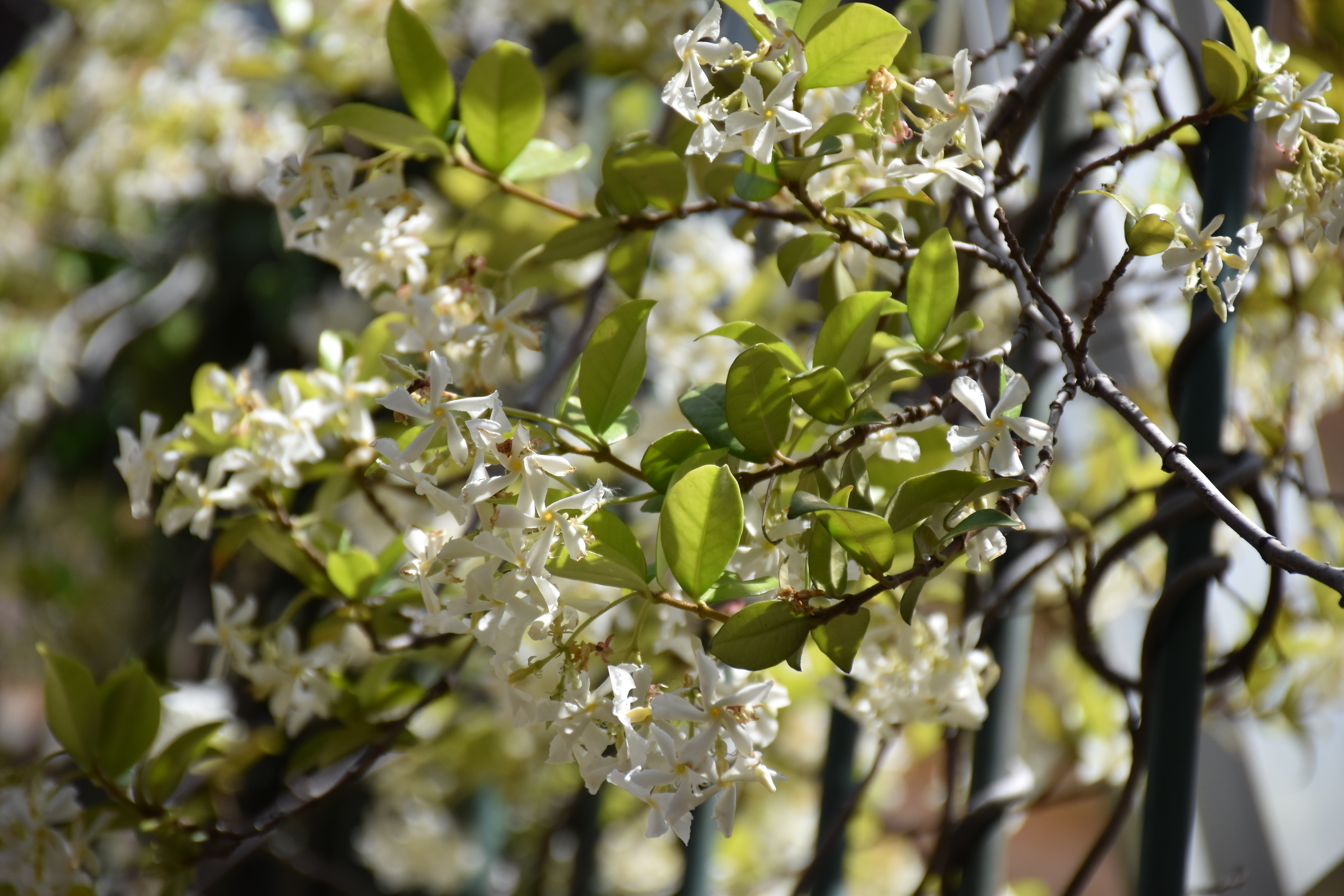 Dsc 0074 Change Is Beckoning